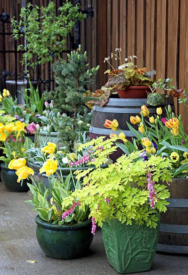 Pretty Container Gardens