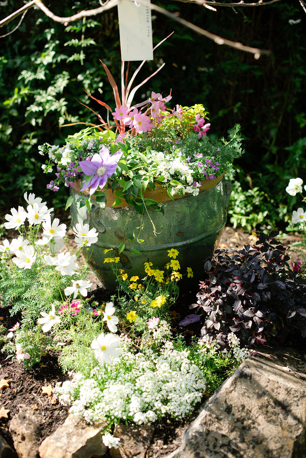 A Patio Flower Container Garden Tips