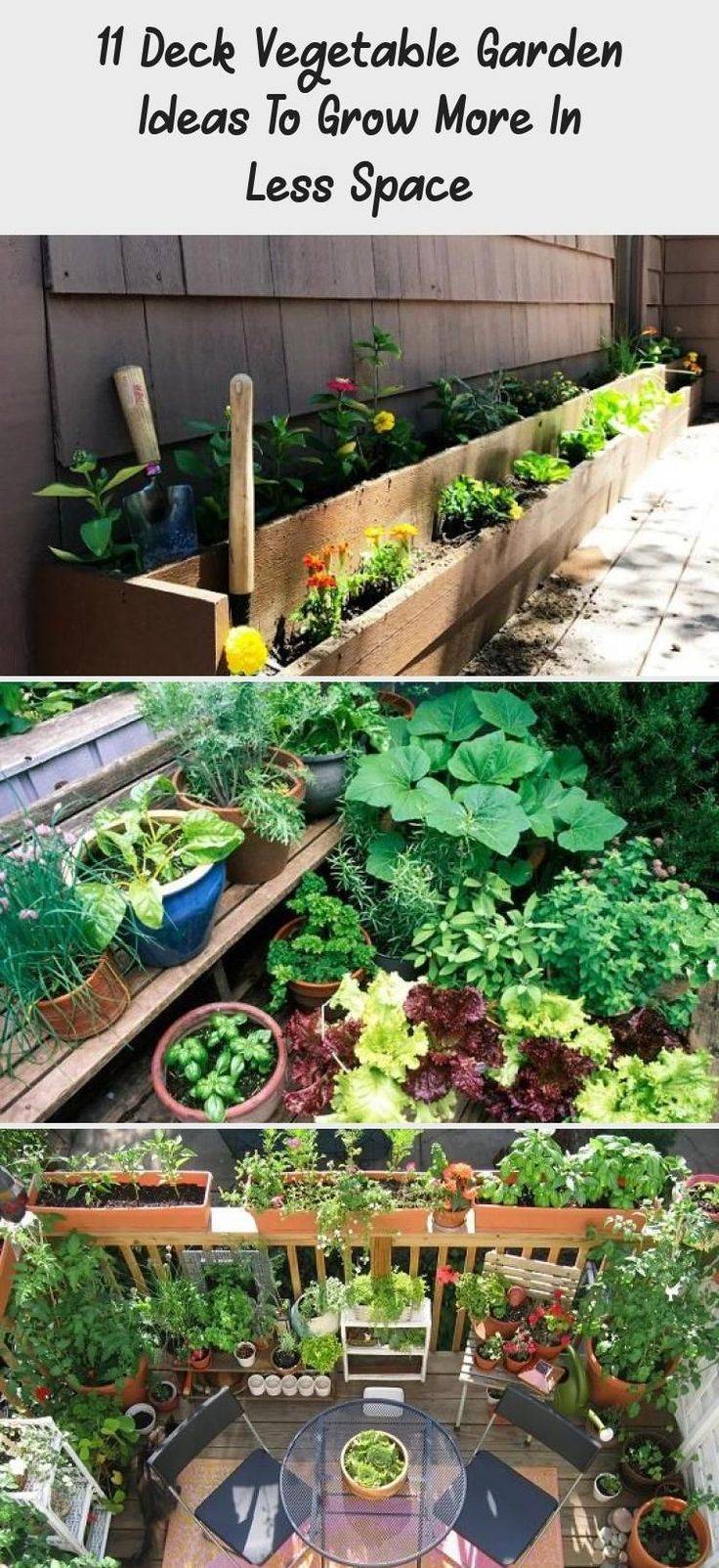 Deck Vegetable Garden Ideas