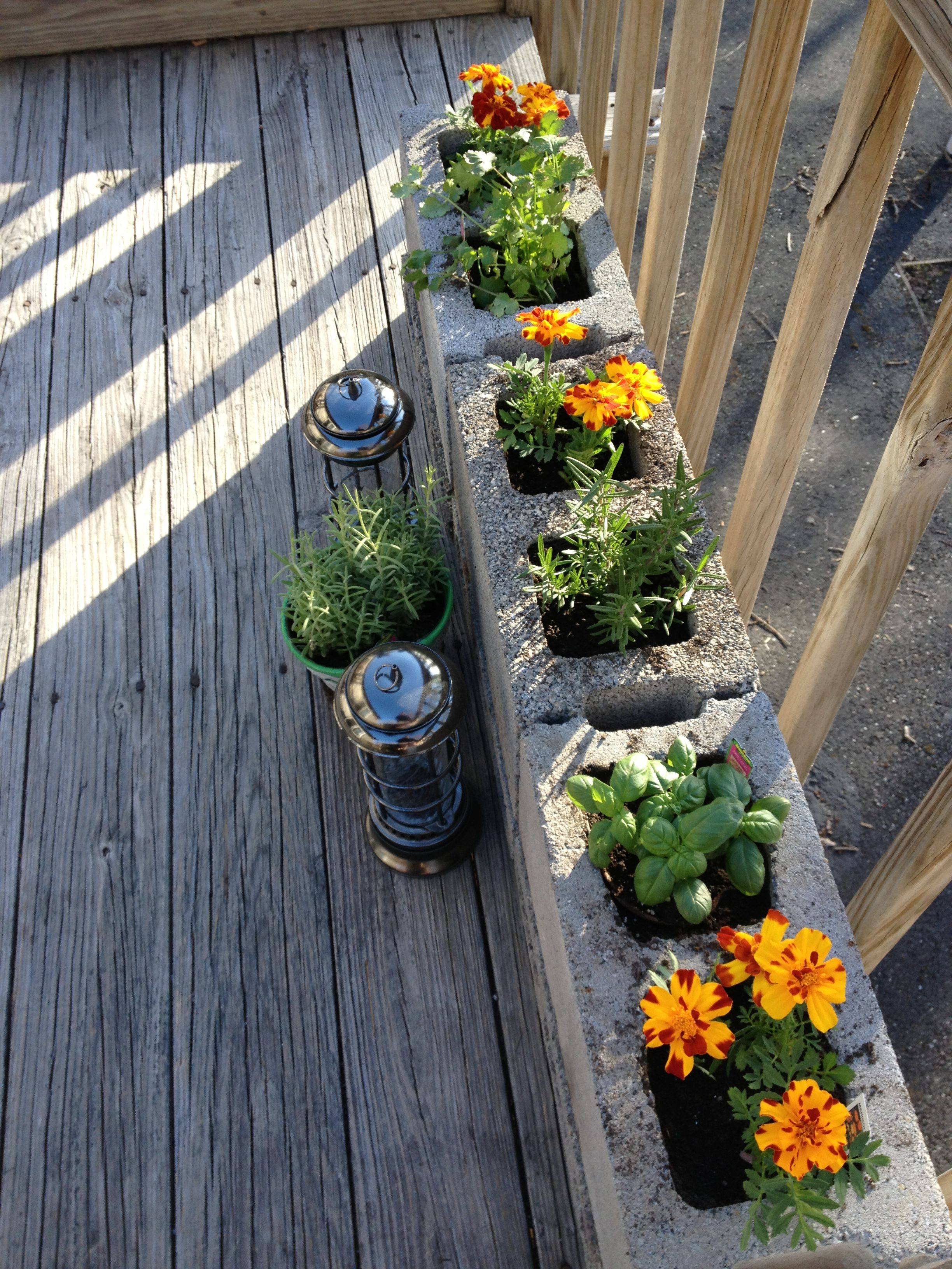 Deck Vegetable Garden Ideas