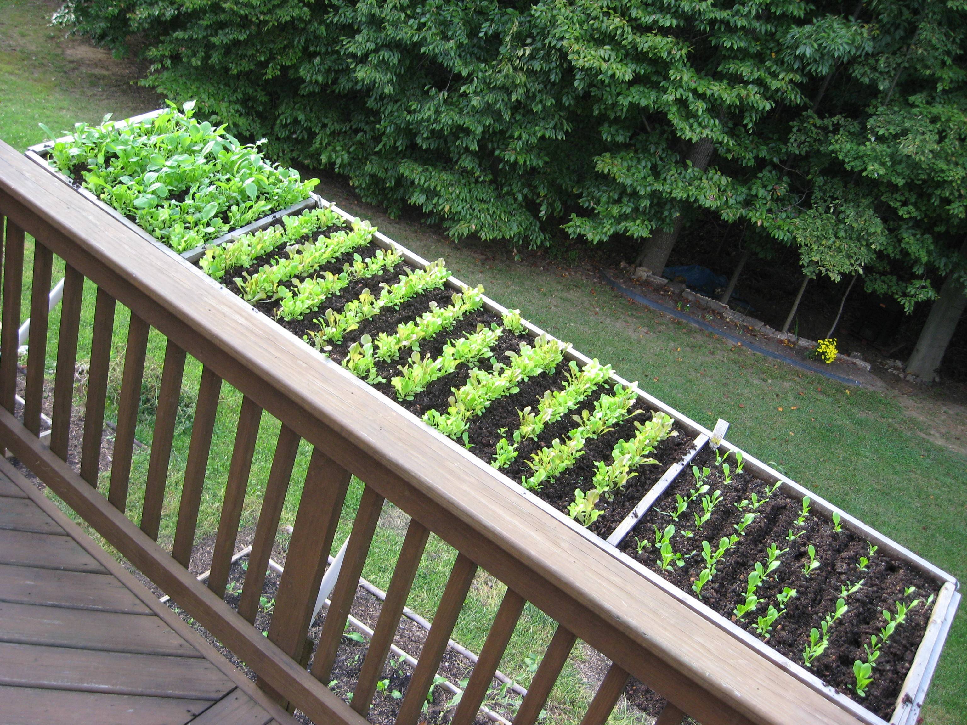 Creative And Inspiring Raised Bed Vegetable Garden Ideas