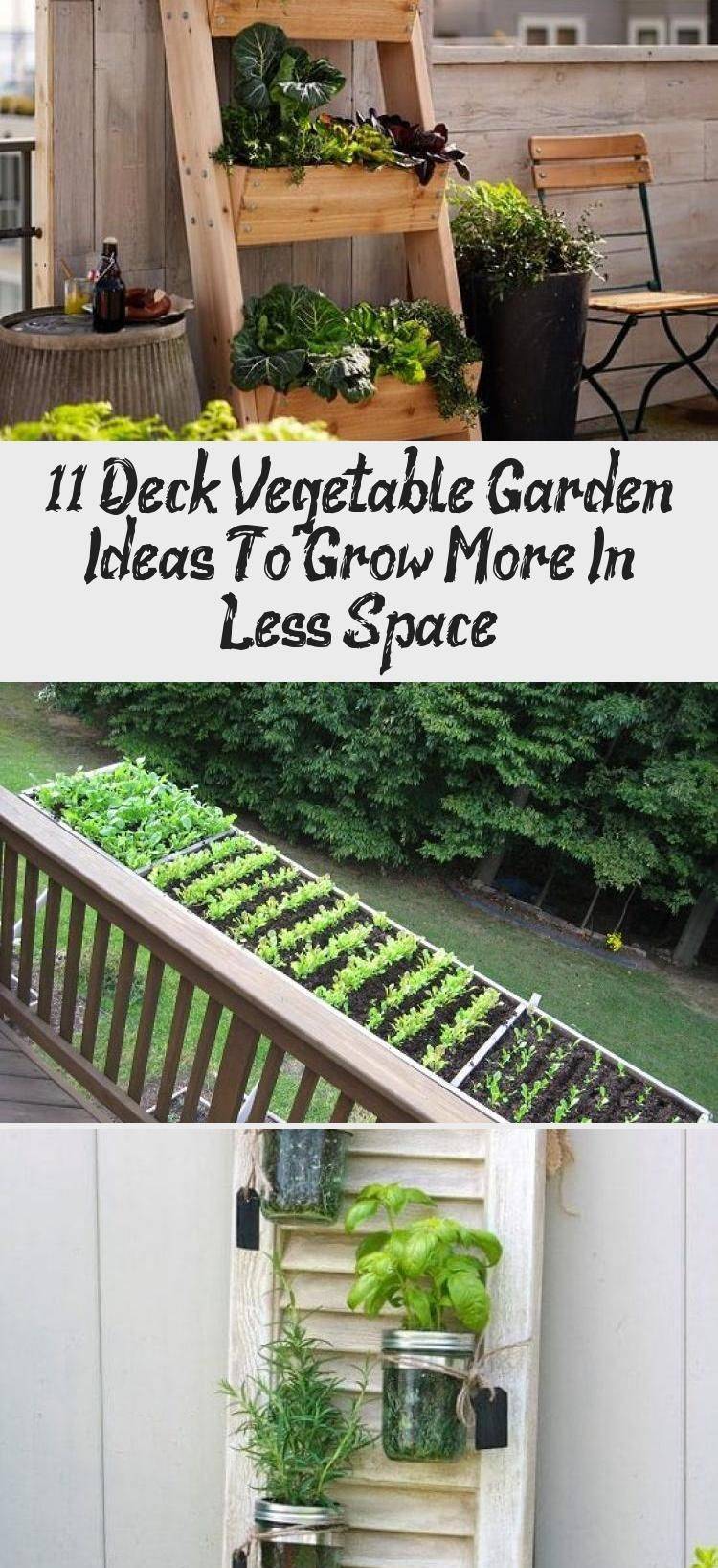 Backyard Vegetable Gardens Page