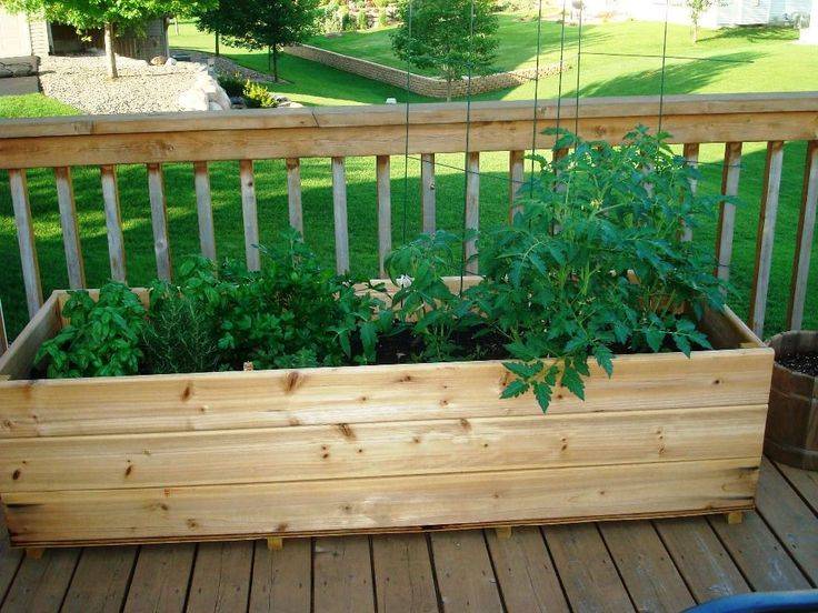 Easy Diy Project Garden Ideas