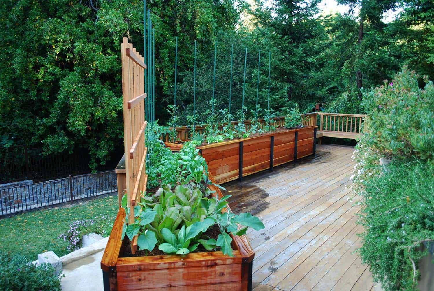 A Tiered Container Garden Southern Patio