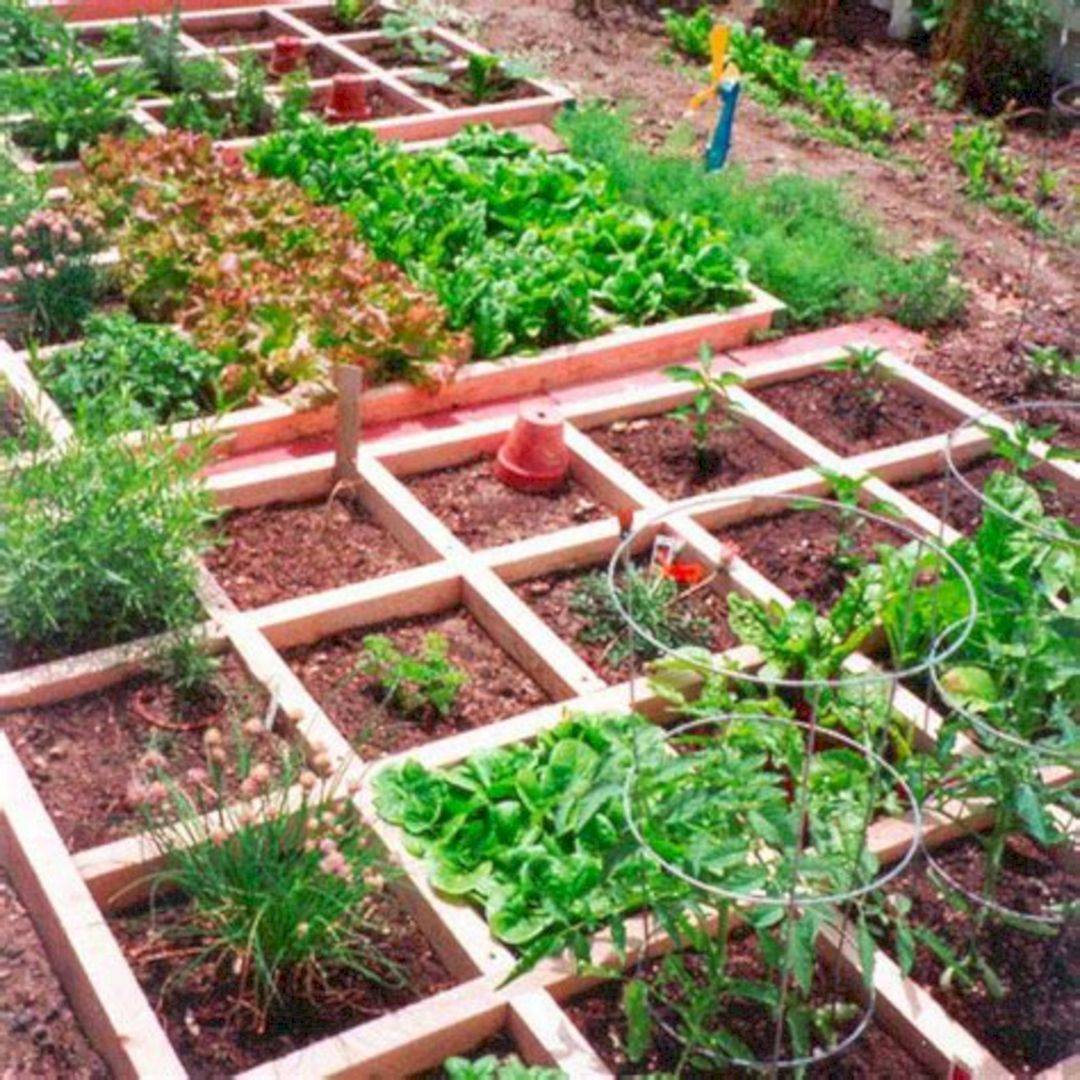 Vegetable Garden Plans
