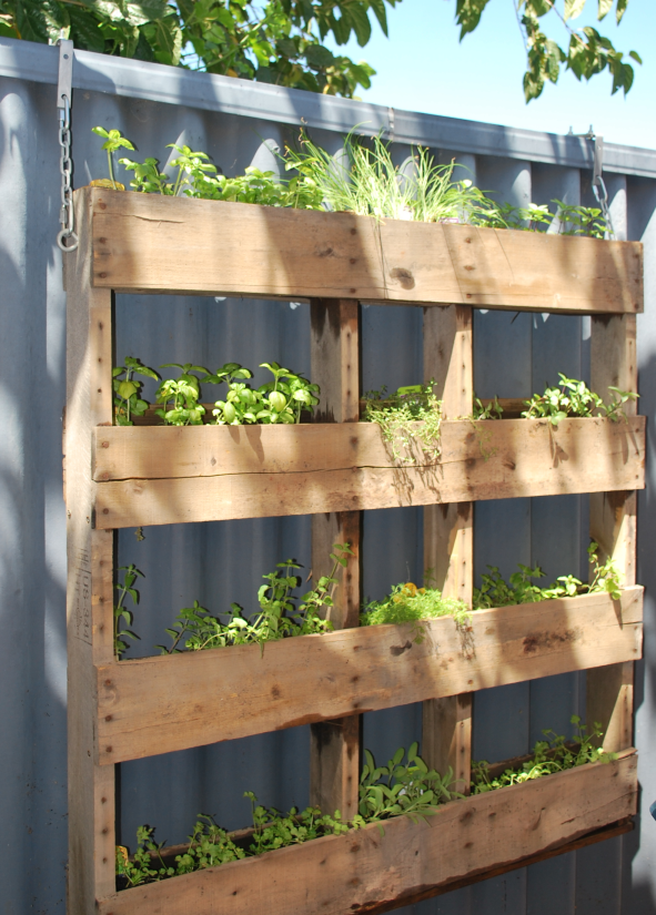 A Vertical Herb Garden Fence
