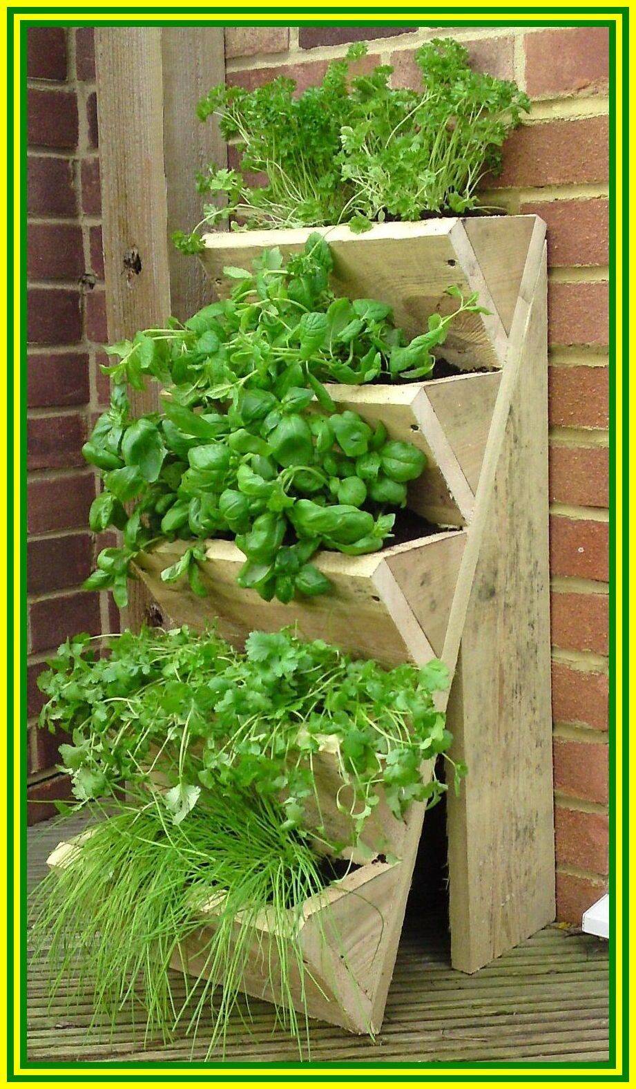 Diy Deck Organic Herb Garden