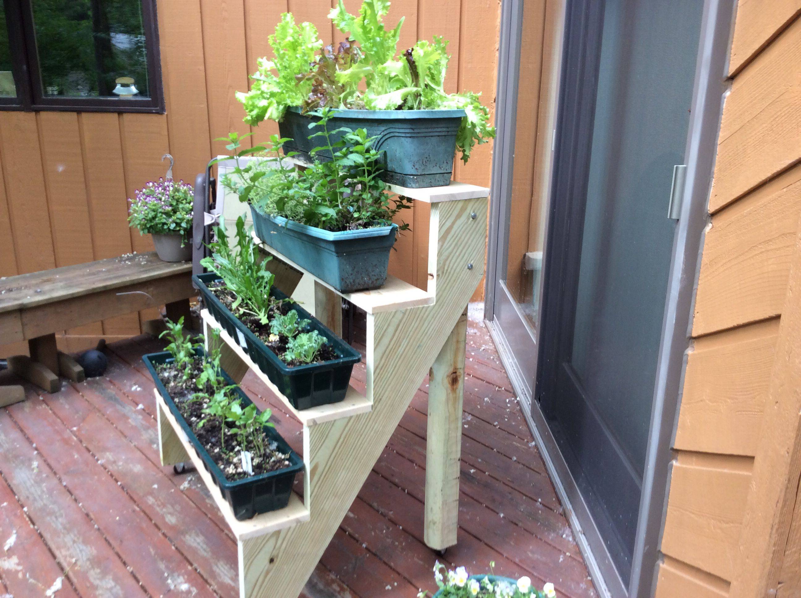 22 Herb Garden On Deck Ideas You Should Check SharonSable