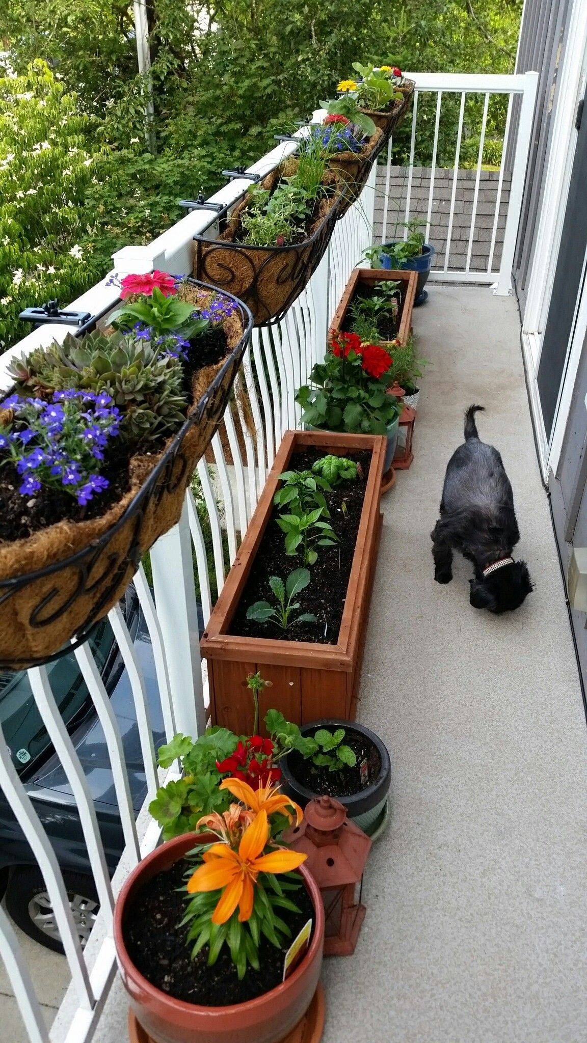A Deck Rail Herb Garden