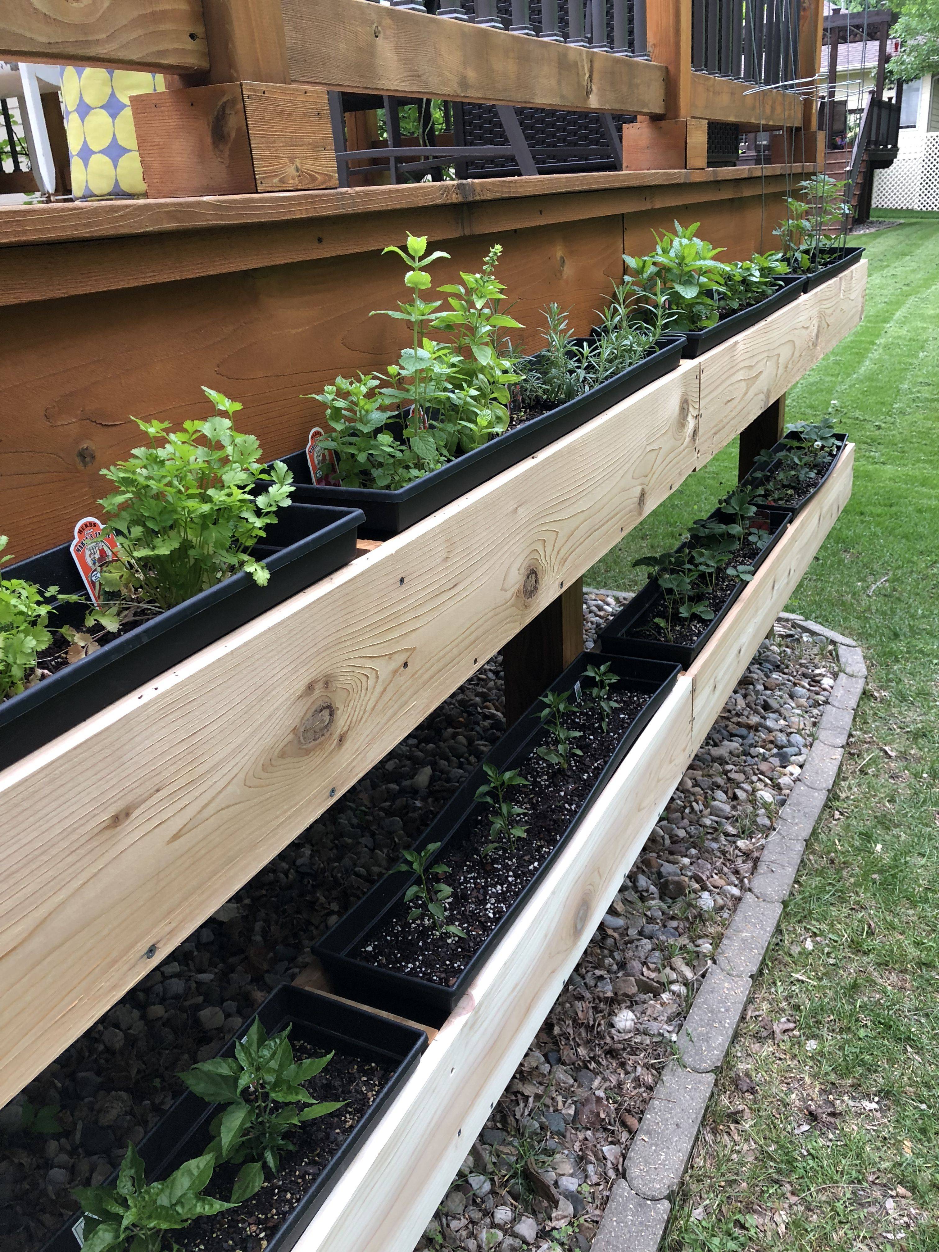 22 Herb Garden On Deck Ideas You Should Check SharonSable