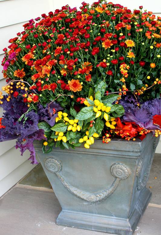 Lovely Fall Container Gardens Ideas Page