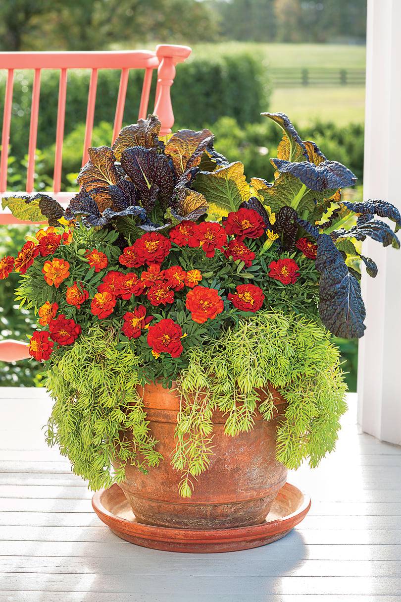 Container Garden Combination Fall Container Gardens