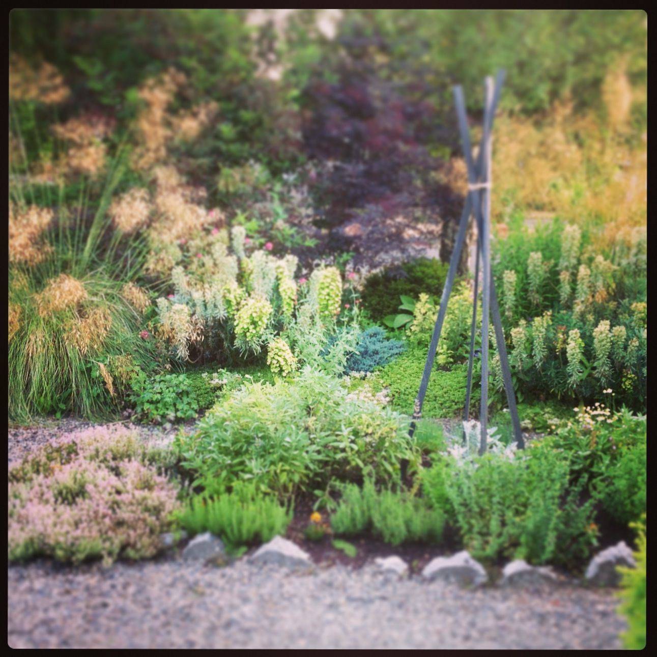 Front Yard Landscaping