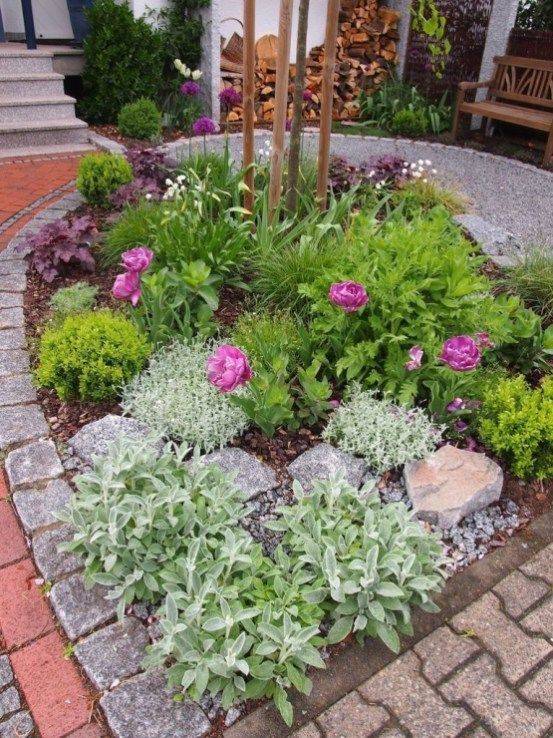 Organicsorg Backyard