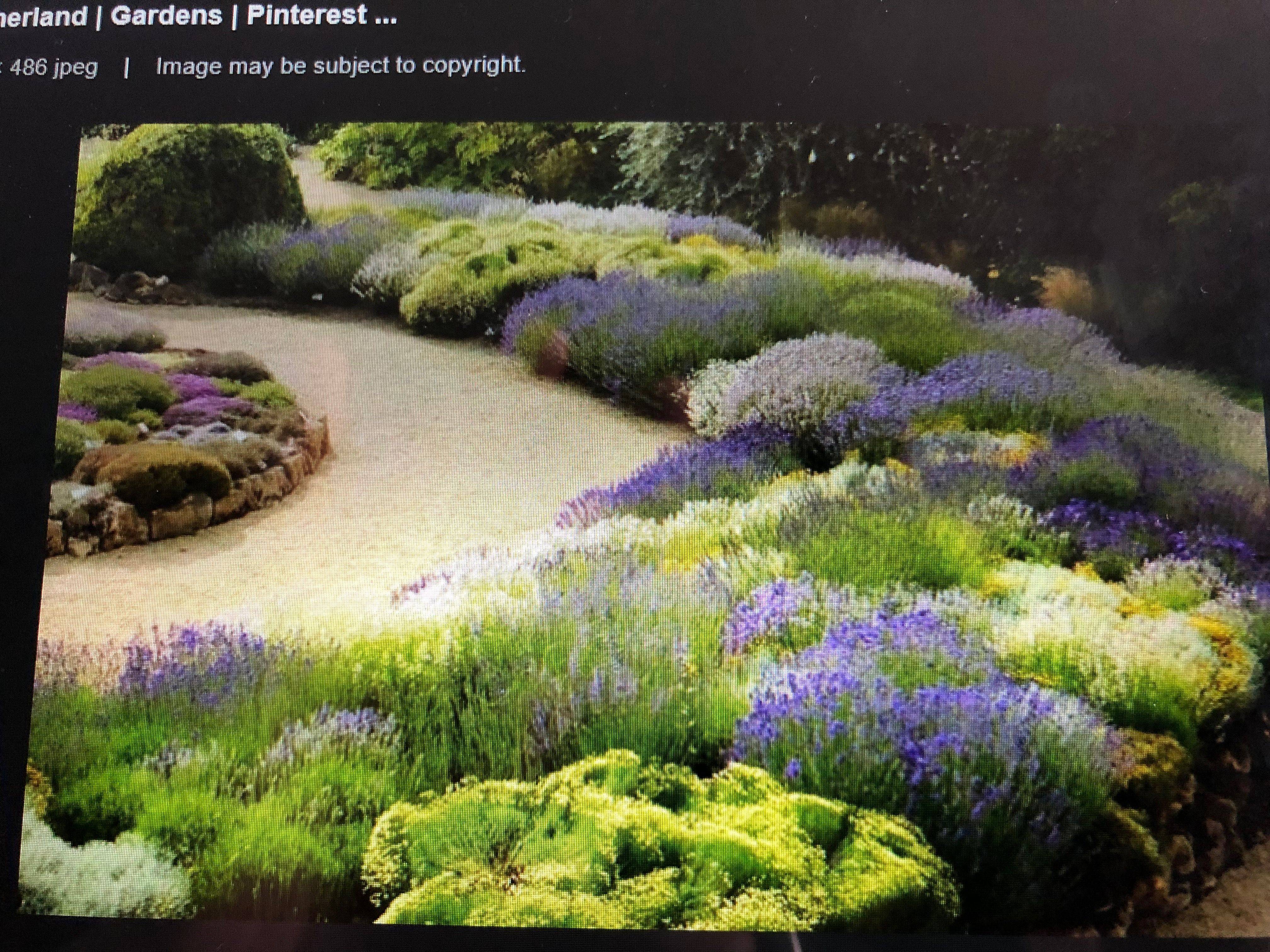 Organic Gardening Front Yard Garden Design