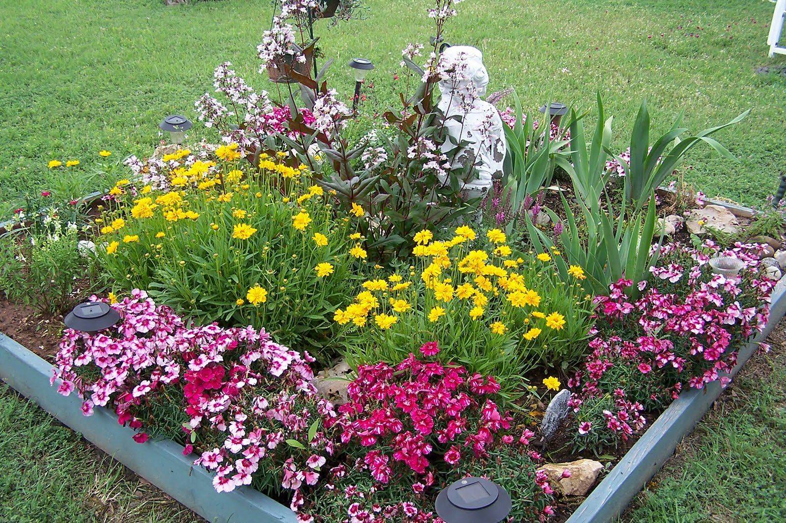 Backyard Flowers Beds