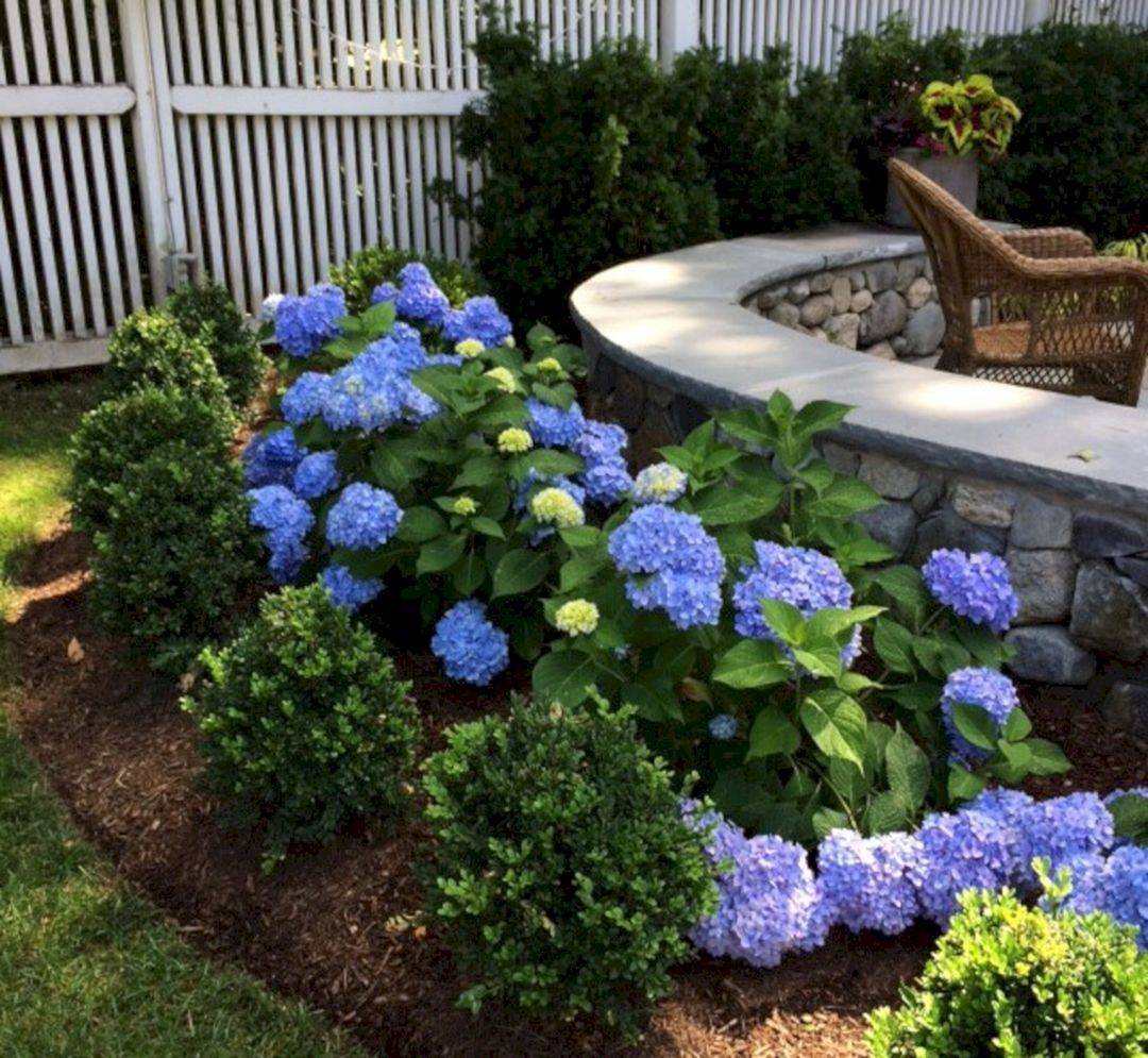 21 Hydrangea Garden Ideas Worth to Check | SharonSable