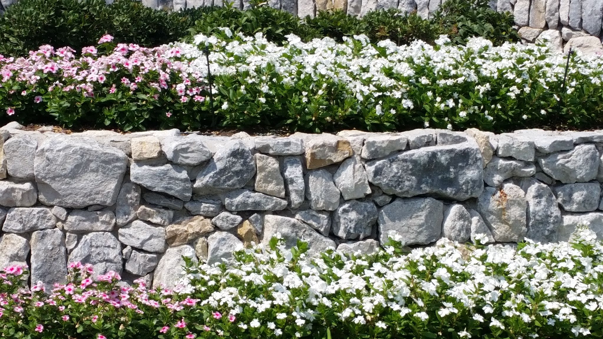 Flowerbed Landscaping Ryno Lawn Care Llc