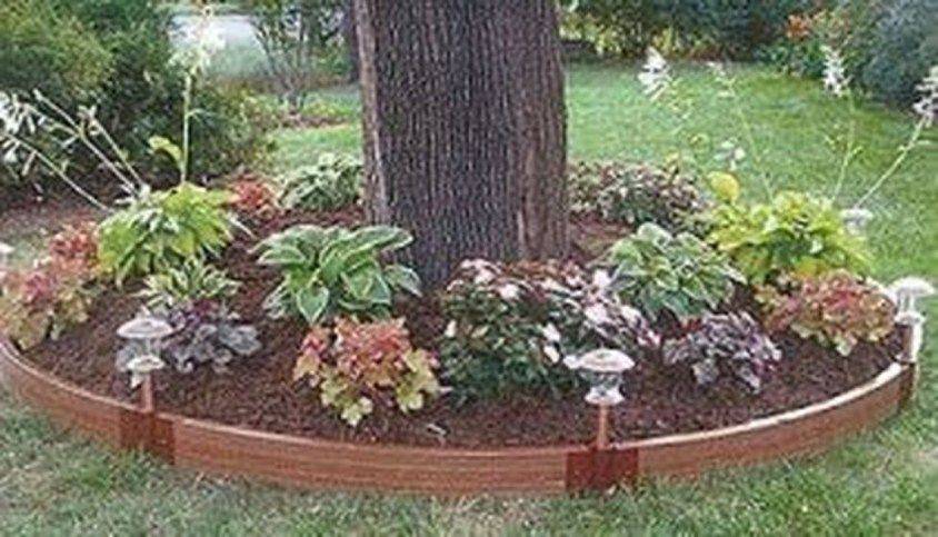 24 Raised Garden Bed around Tree Ideas To Try This Year | SharonSable