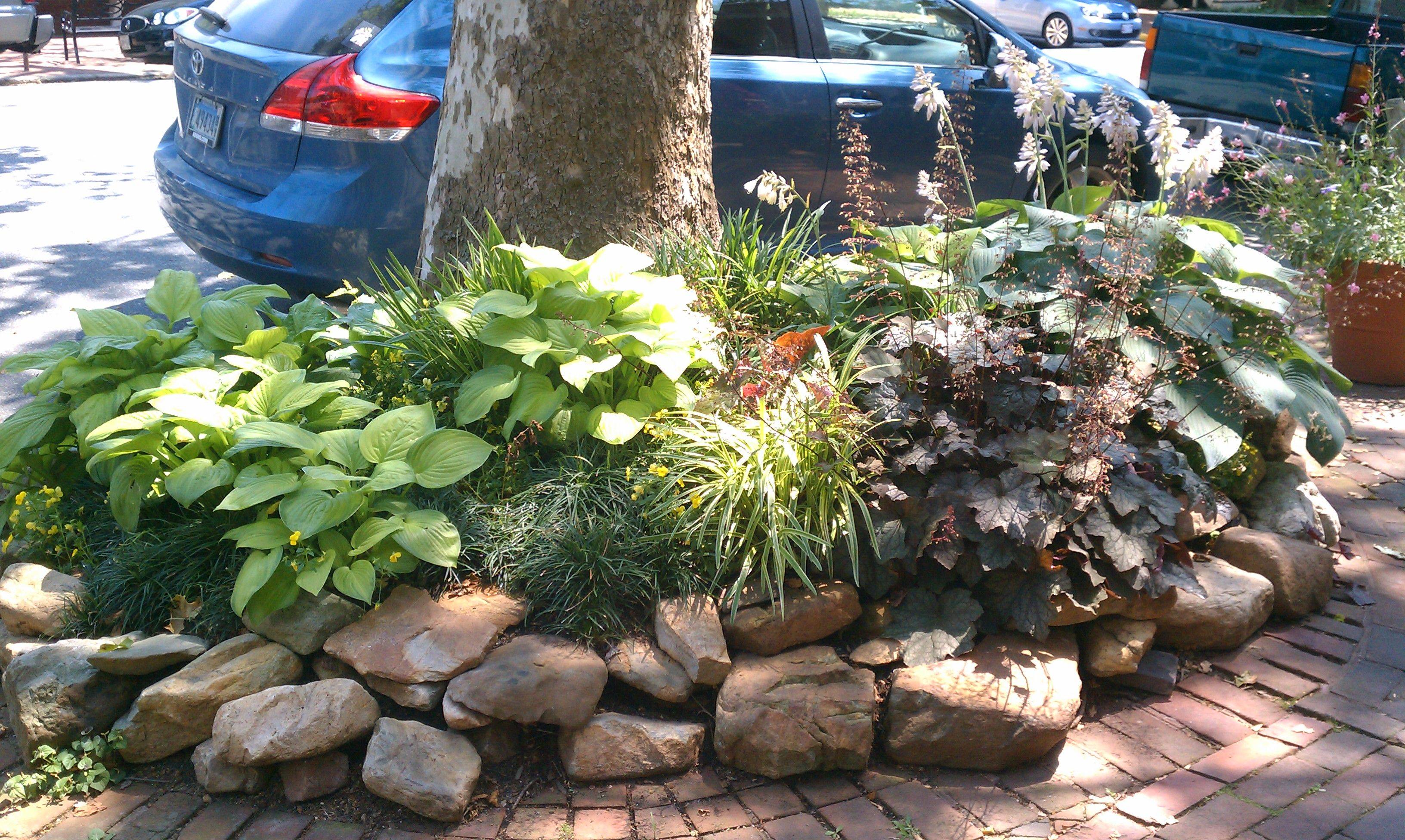 24 Raised Garden Bed around Tree Ideas To Try This Year SharonSable