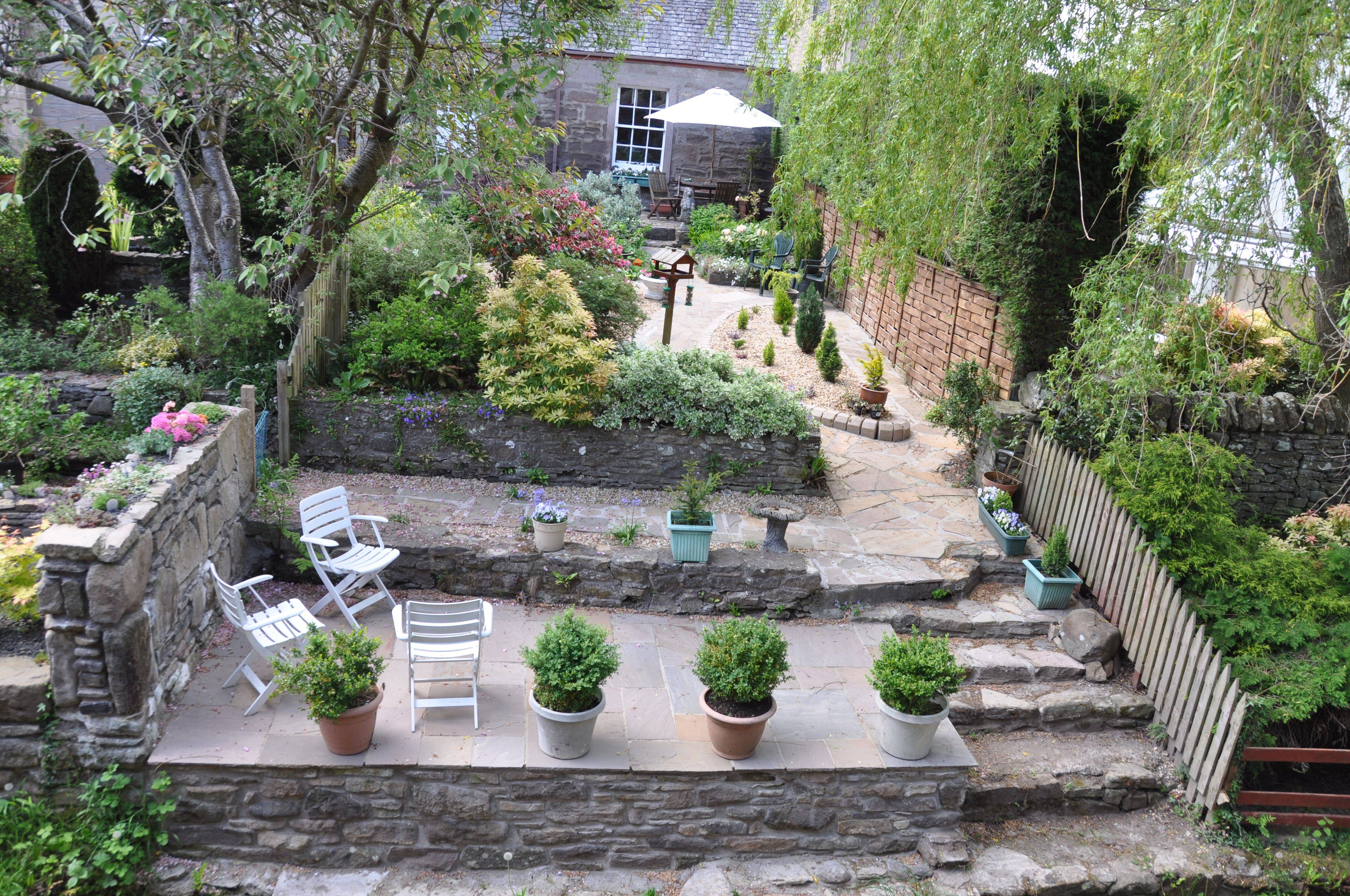Tree Landscaping Ideas