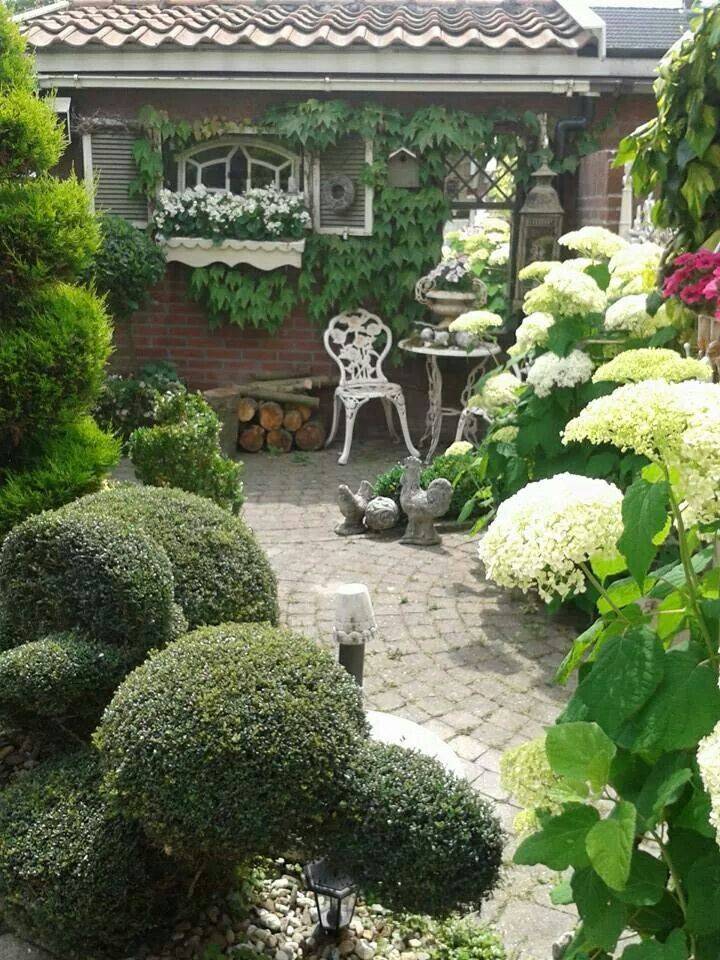 Cottage Garden Plants