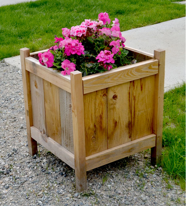 Best Creative Garden Container Ideas