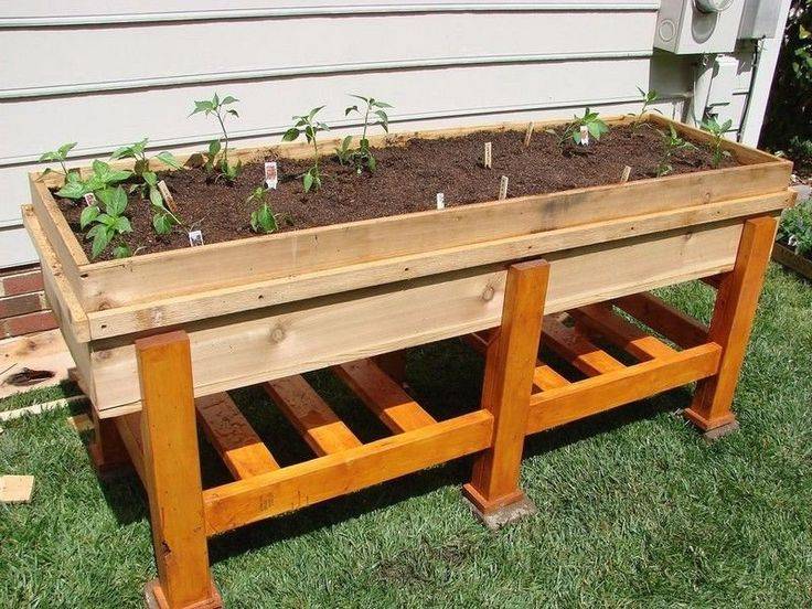 Ground Vegetable Garden Best Home Design Ideas