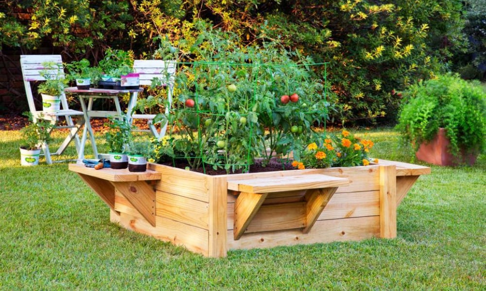 Garden Boxes