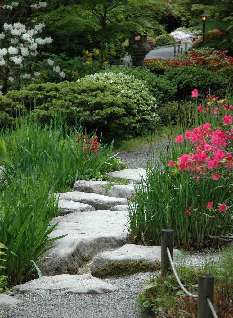 Garden Stepping Stone Design