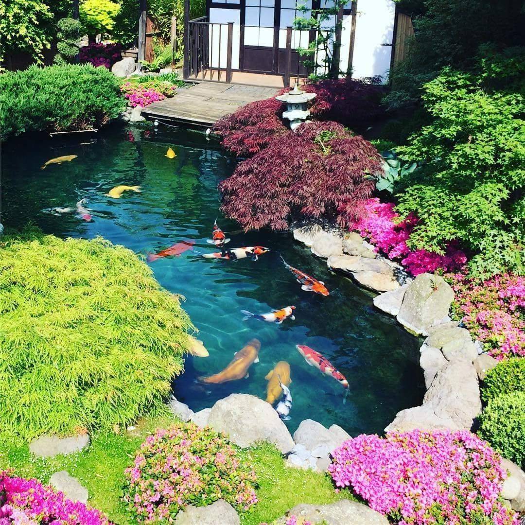 Japanese Style Fish Pond Ideas