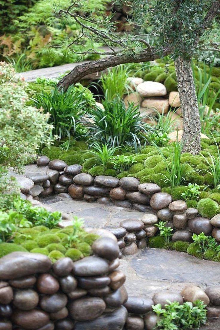 Lovely Backyard Landscape