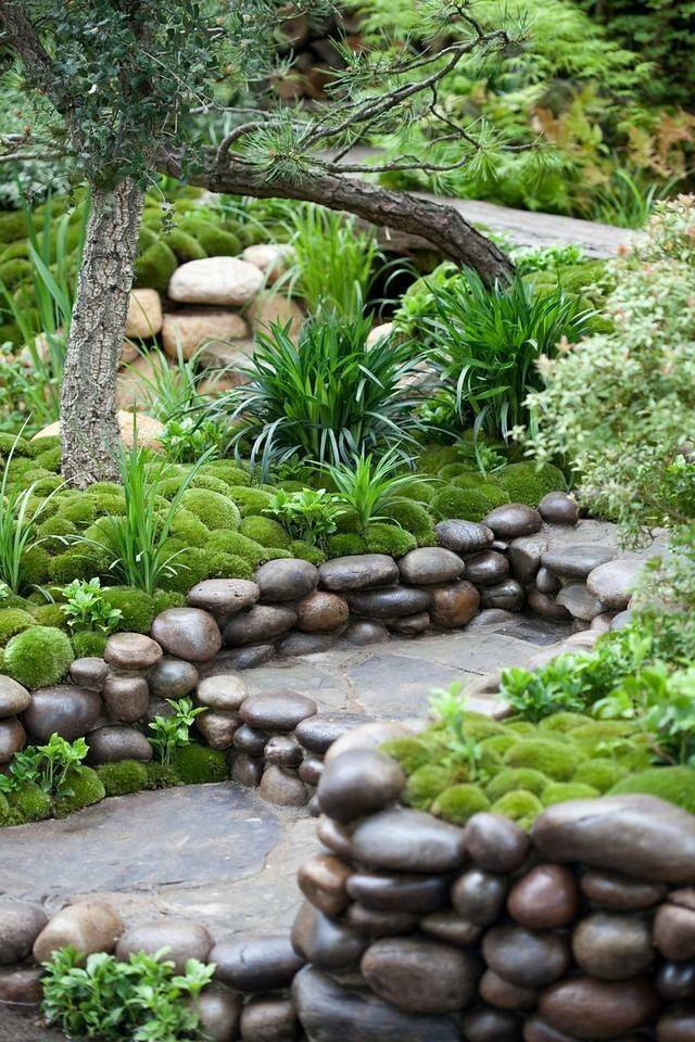 Moss Garden Ideas