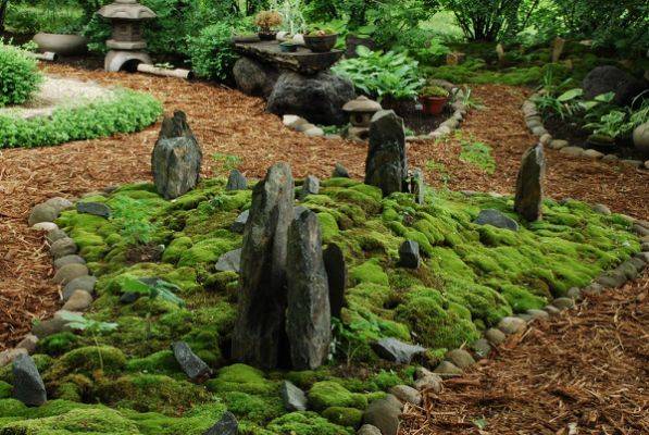 A Japanese Moss Garden