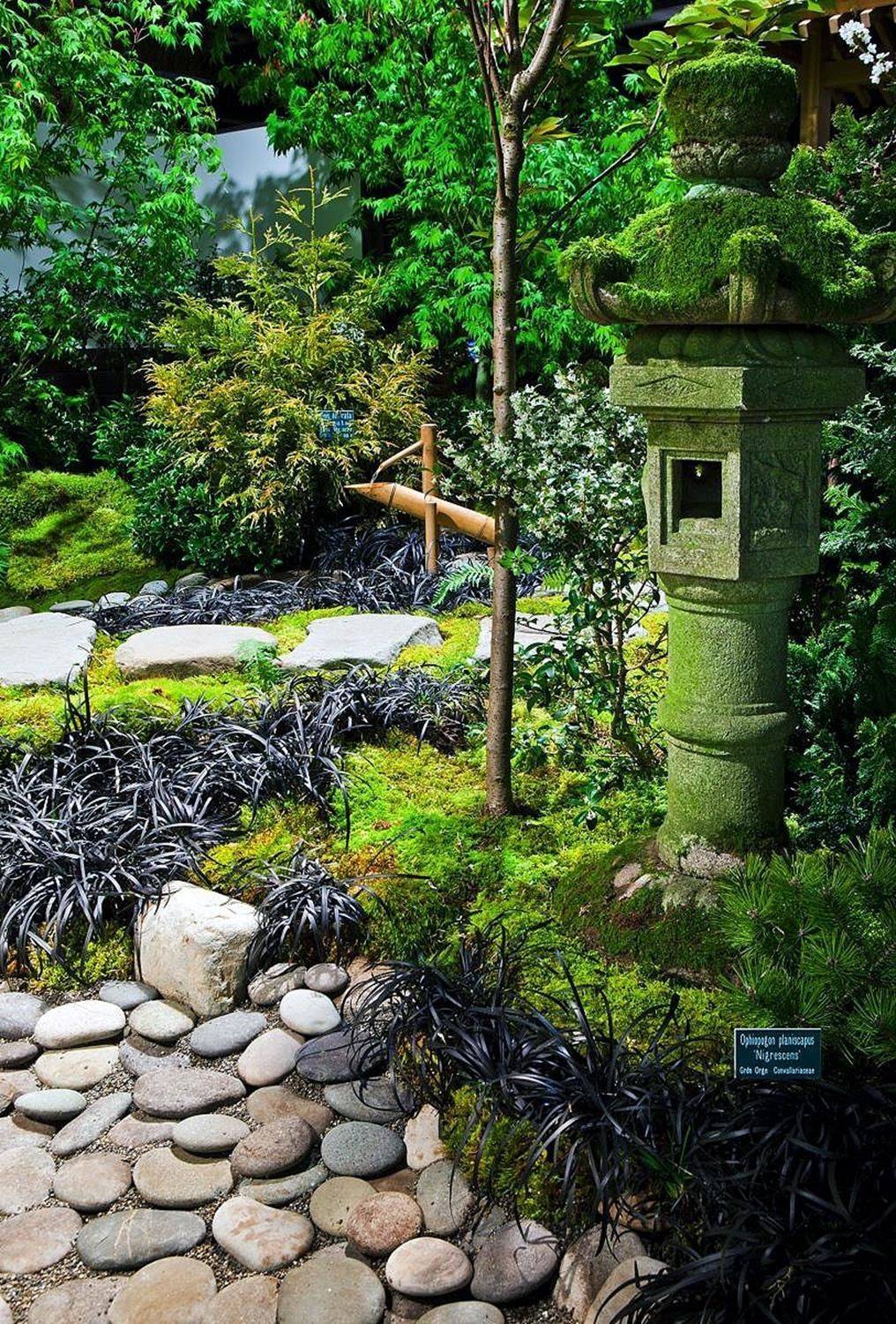Moss Japan Garden