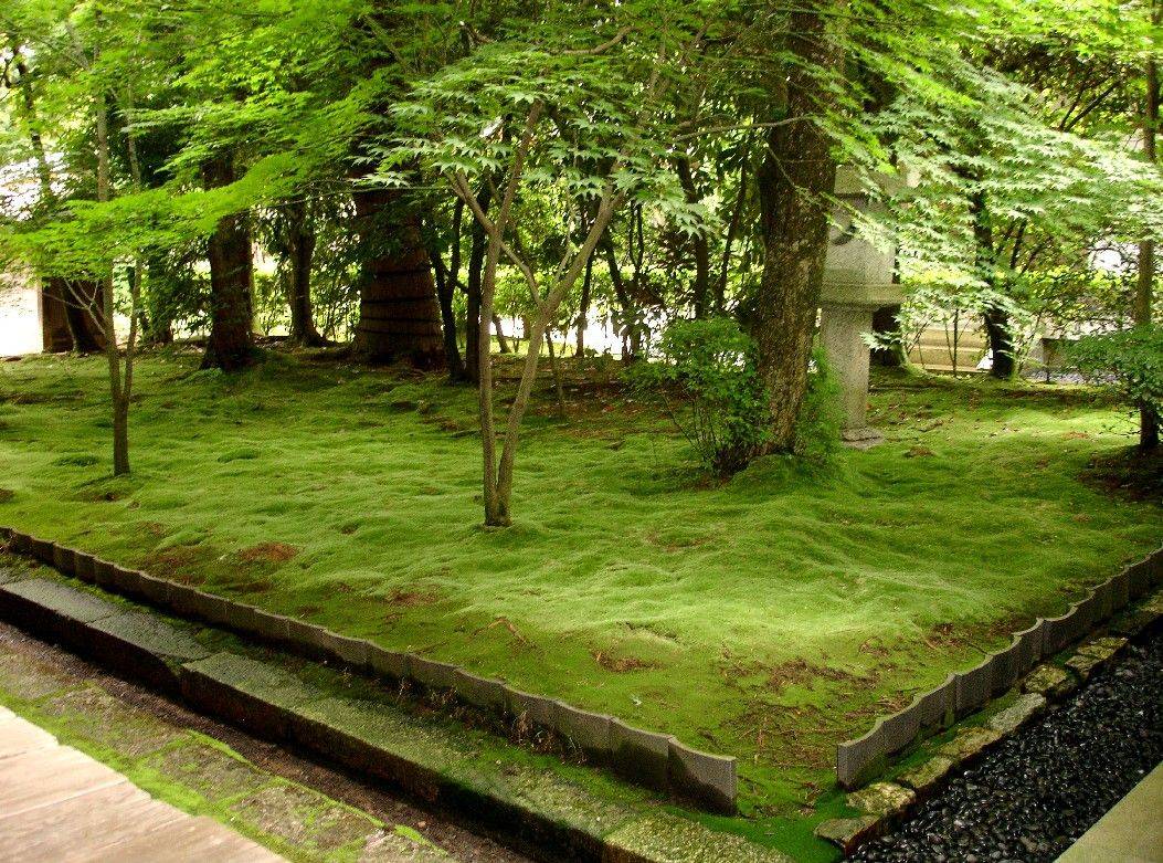Japanese Moss Garden