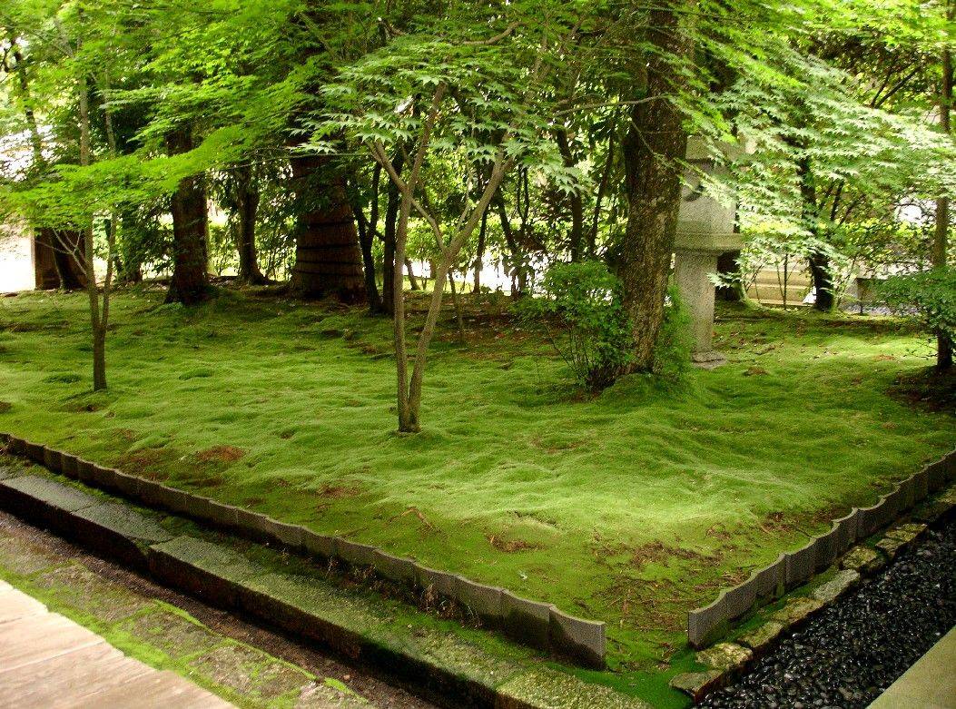 Japanese Moss Garden