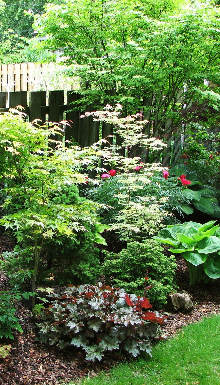 Shade Lovers Garden Borders