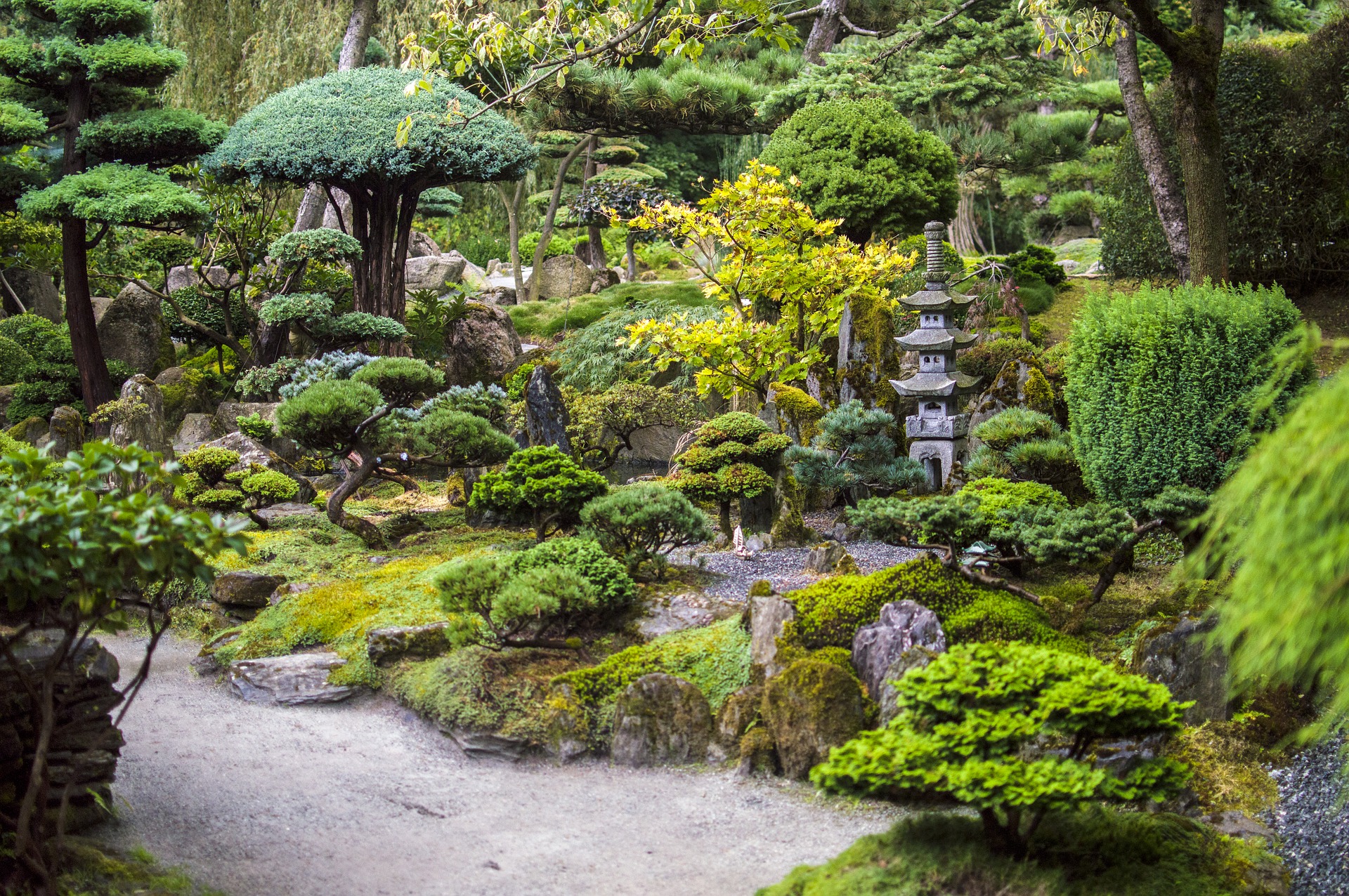 A Japaneseinspired Garden