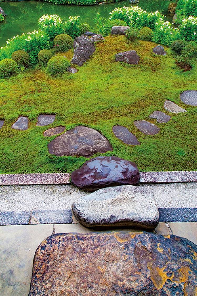 Tranquil Japanese Garden Backyard Designs