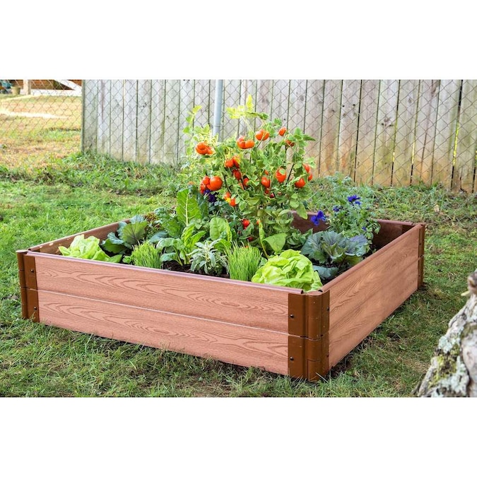 Backyard Vegetable