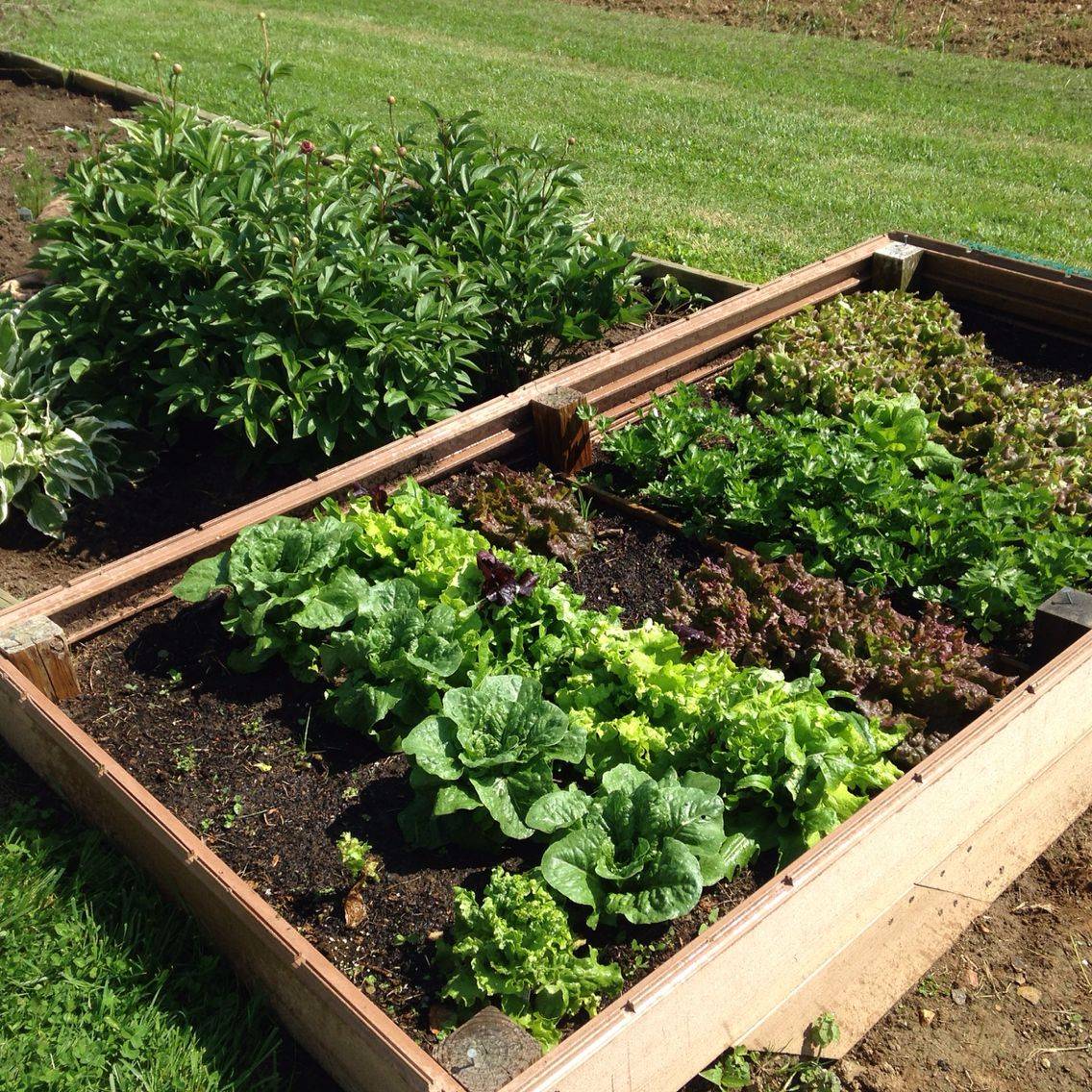 All Composite Raised Bed X X Square