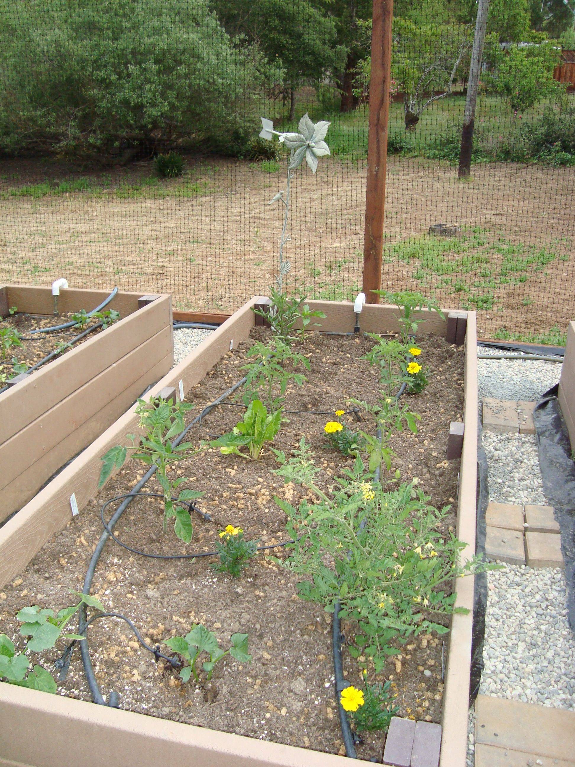 21 Using Trex for Raised Garden Beds Ideas Worth to Check SharonSable