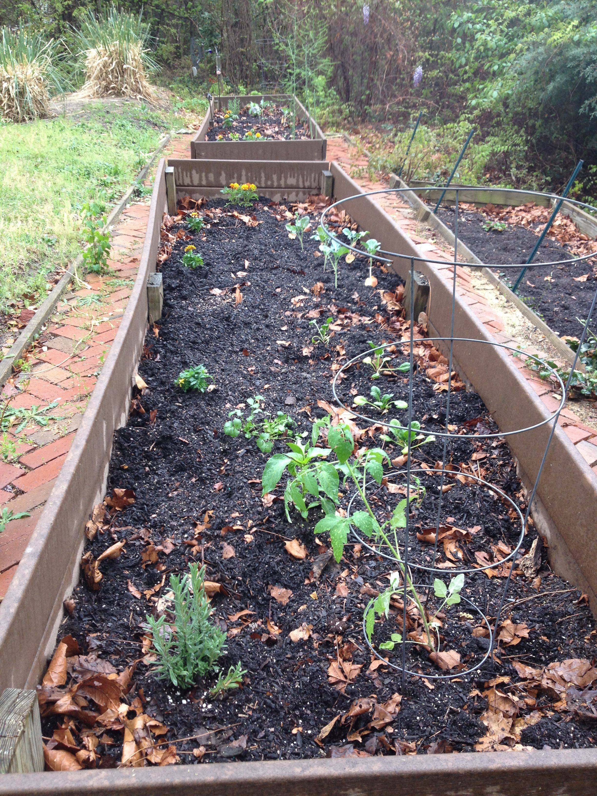 21 Using Trex for Raised Garden Beds Ideas Worth to Check SharonSable