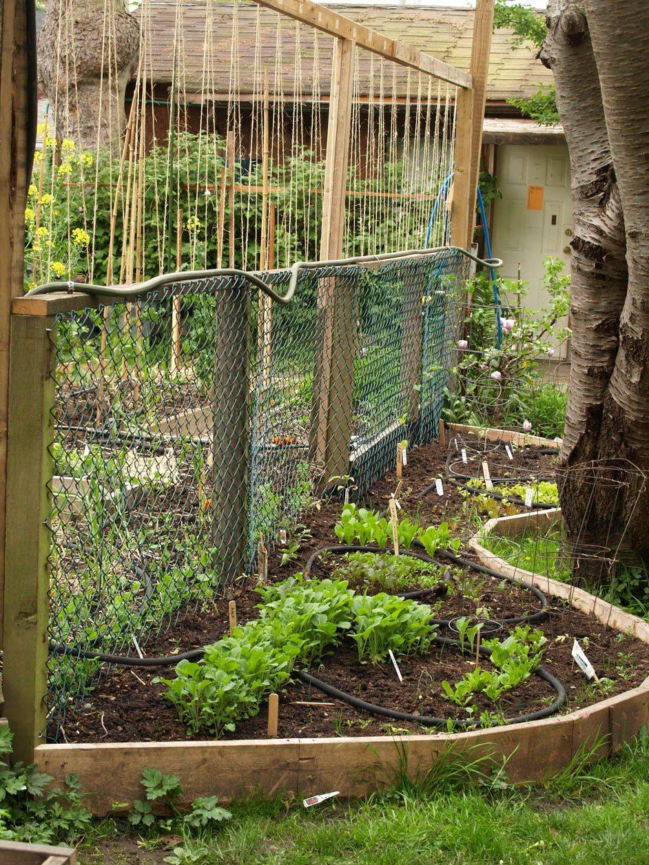 Creative And Inspiring Raised Bed Vegetable Garden Ideas