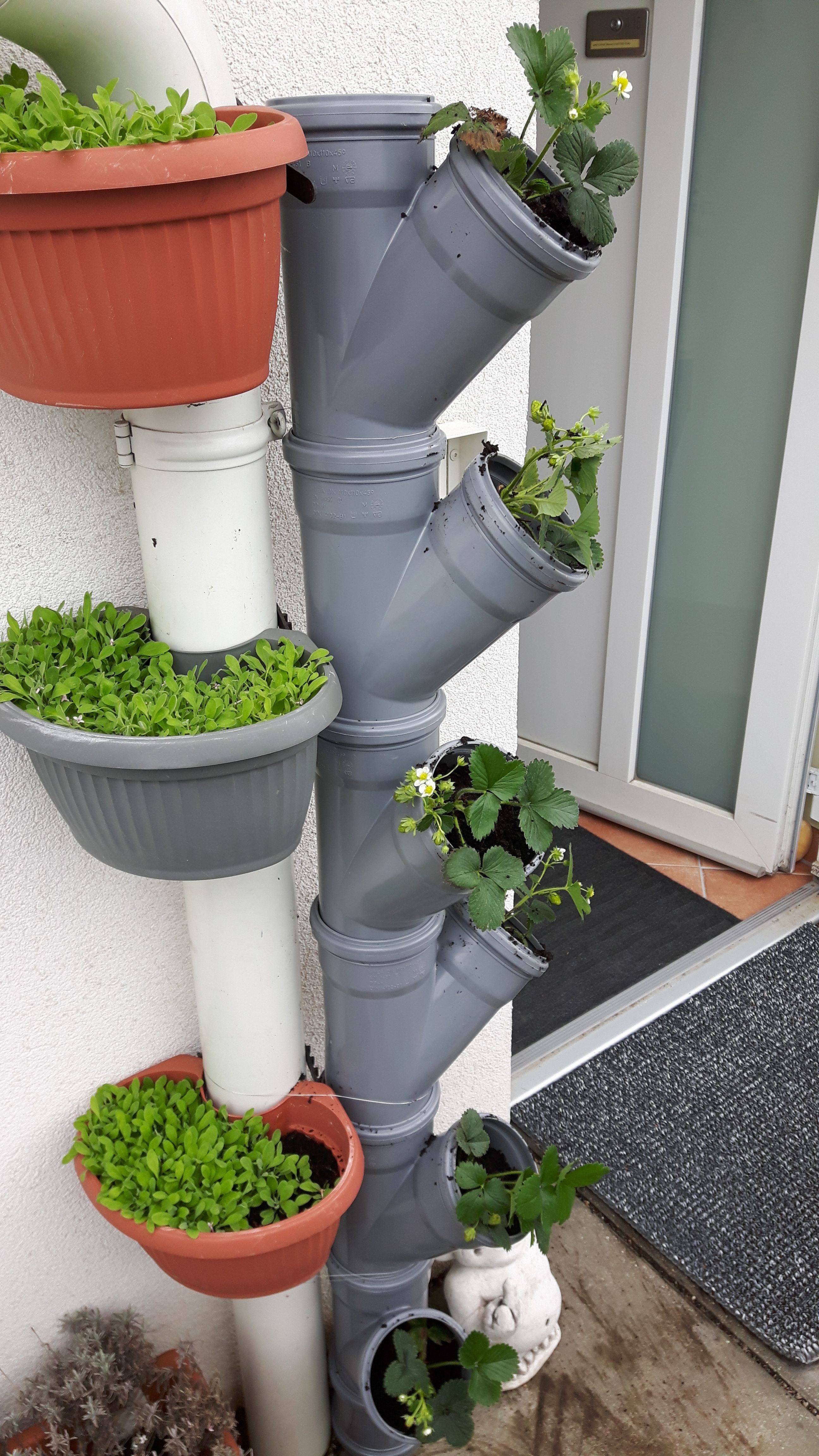 Raised Garden Beds
