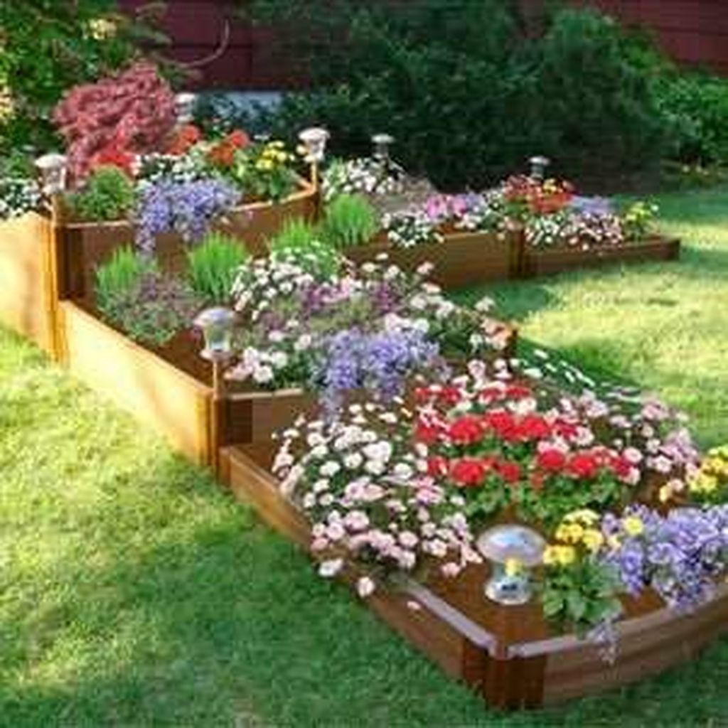 Container Gardening Ideas