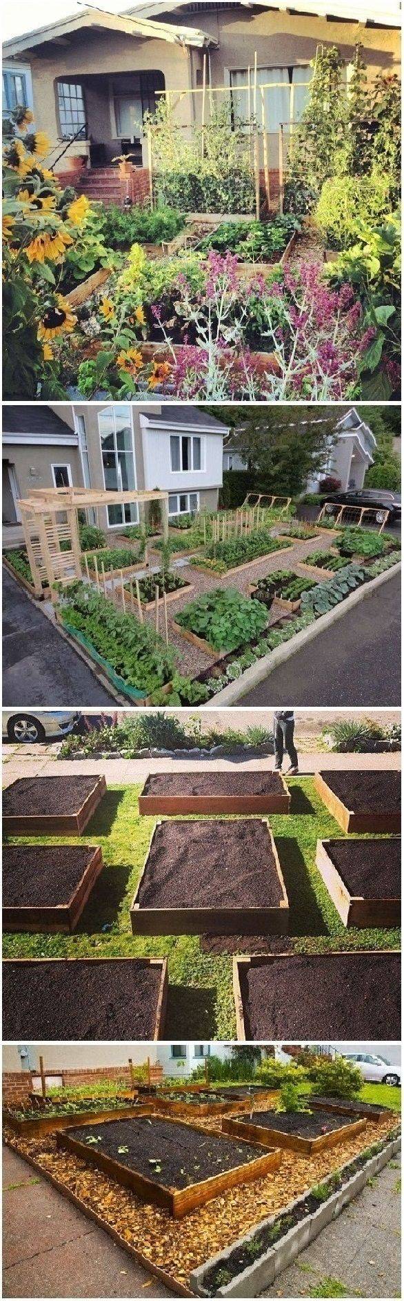 Beautiful Urban Permaculture Garden Example