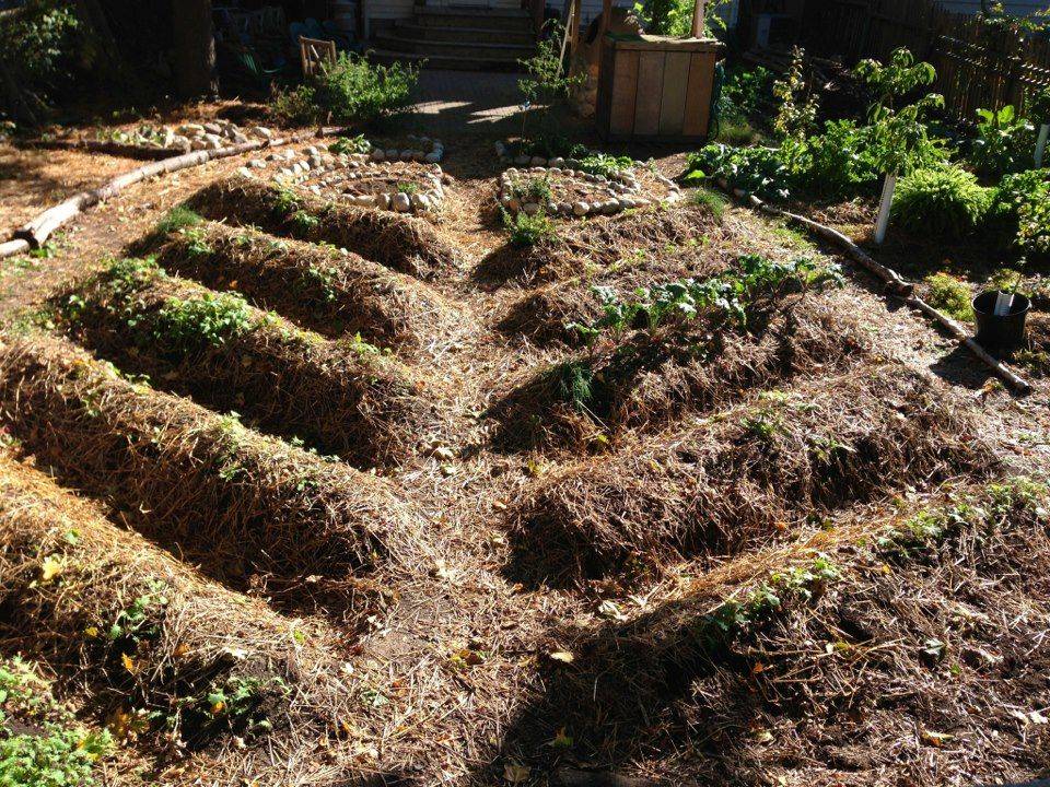 Colorado Permaculture Design Aj Designs