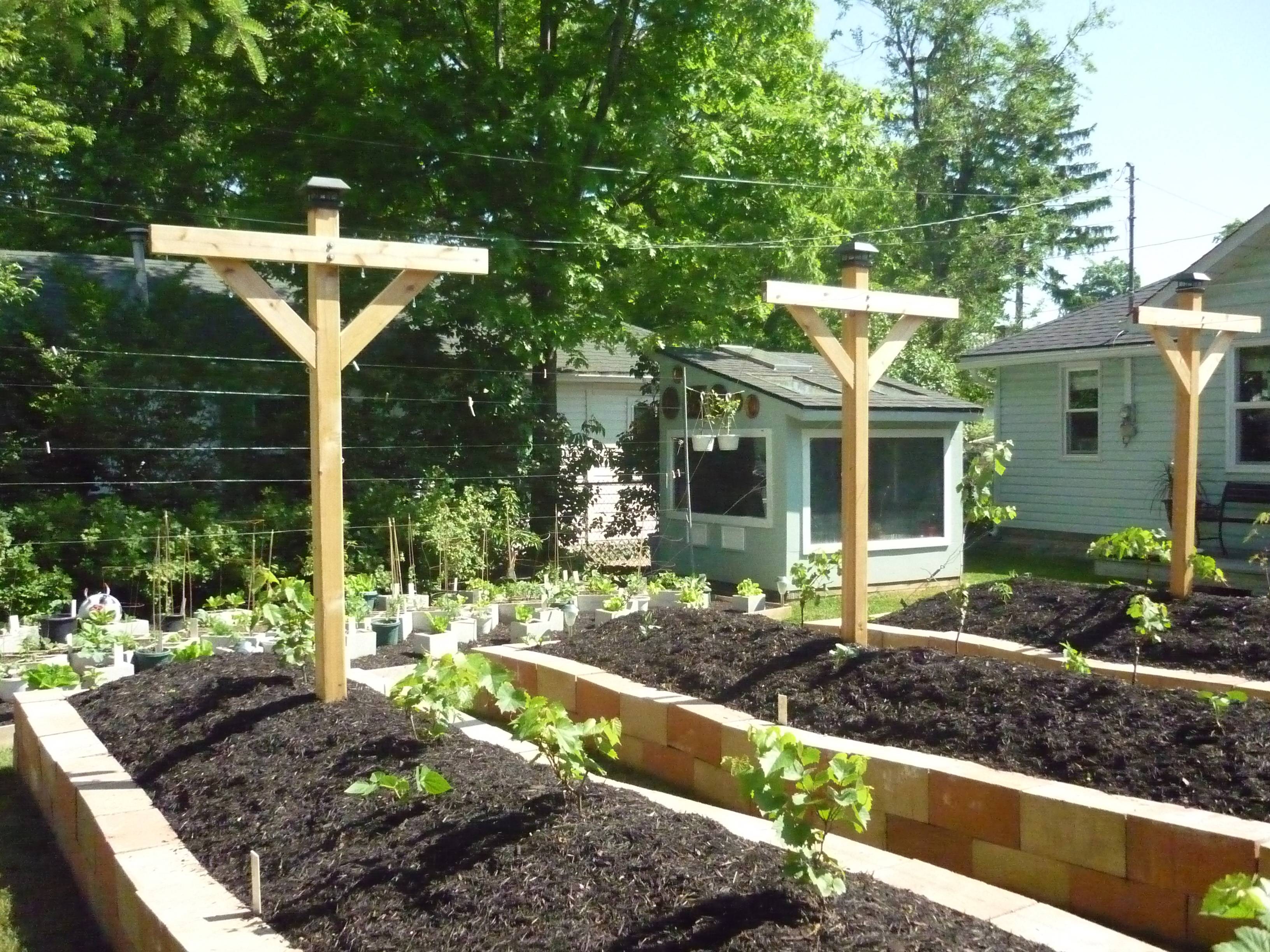 Permaculture Beds